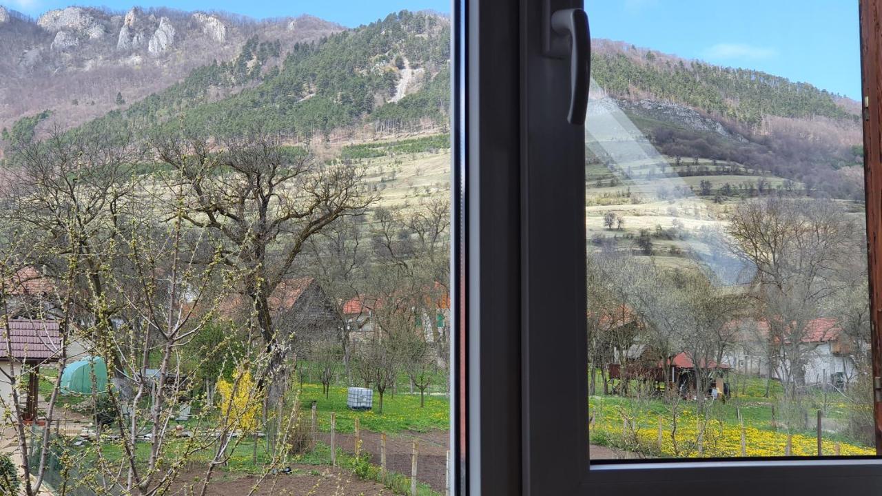 Pensiunea Aranyos Rimetea Exteriér fotografie